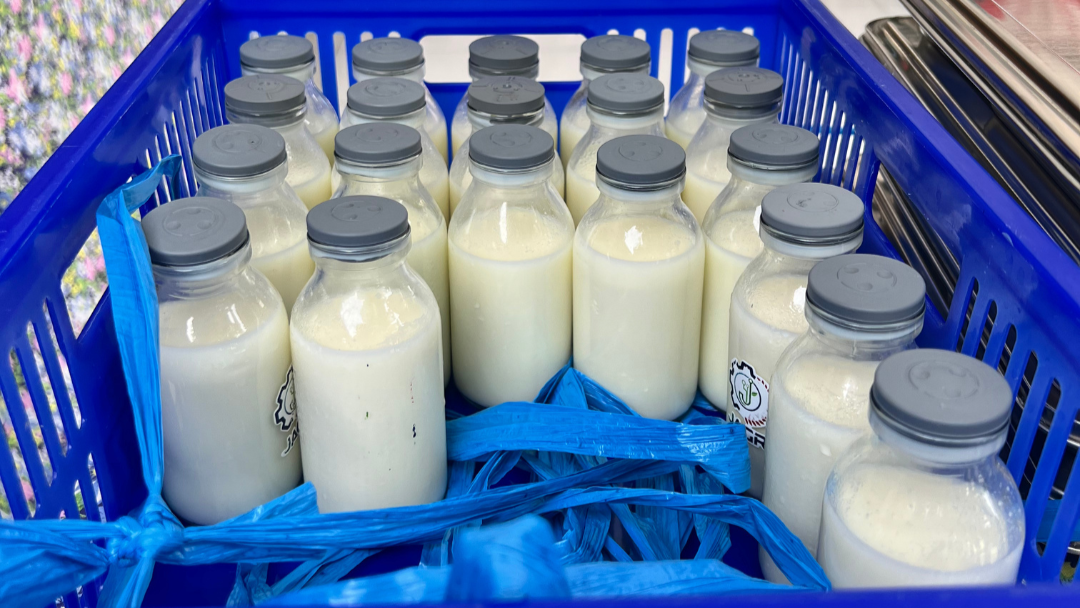 Penjelasan BGN Lingga Soal Manfaat Susu Sebagai Pelengkap Gizi Anak